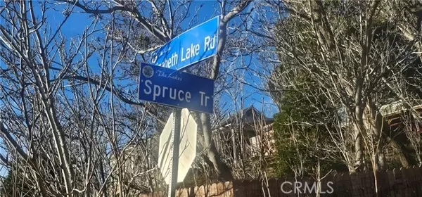 Lake Hughes, CA 93510,0 Spruce