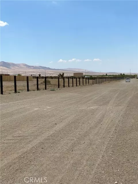 Lucerne Valley, CA 92356,0 Bullrush