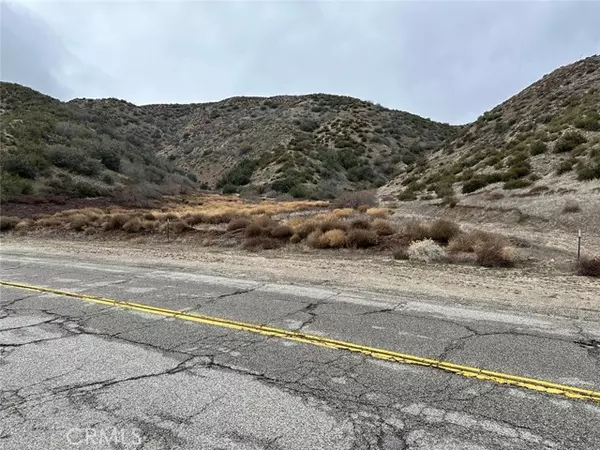 Leona Valley, CA 93551,0 Vac/Munz Ranch Rd/Vic Kern Wat