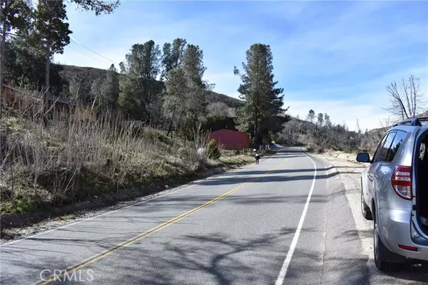 Lake Hughes, CA 93532,20811 Pine Canyon