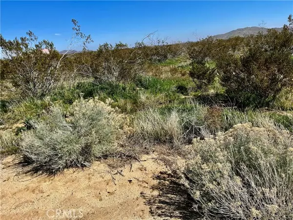 Rosamond, CA 93560,1 Tehachapi Willow Springs