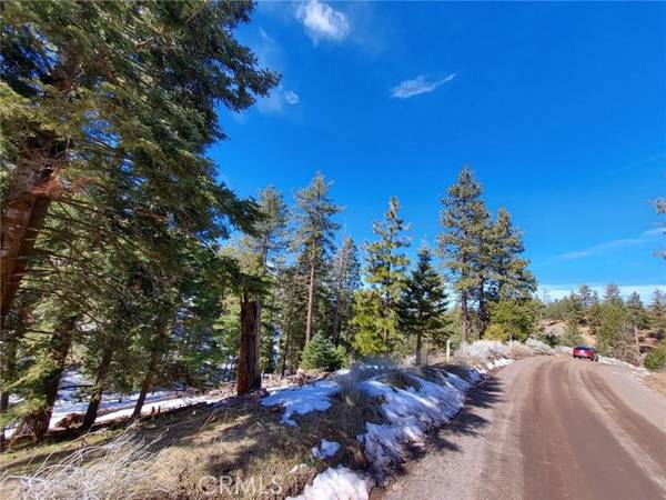 Alpine Forest, CA 93561,16701 Matterhorn