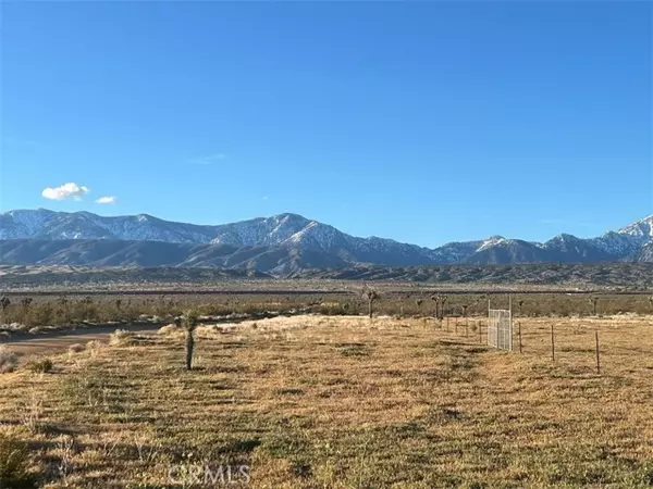 Llano, CA 93544,0 Vac/Cor Avenue W4 Drt /175