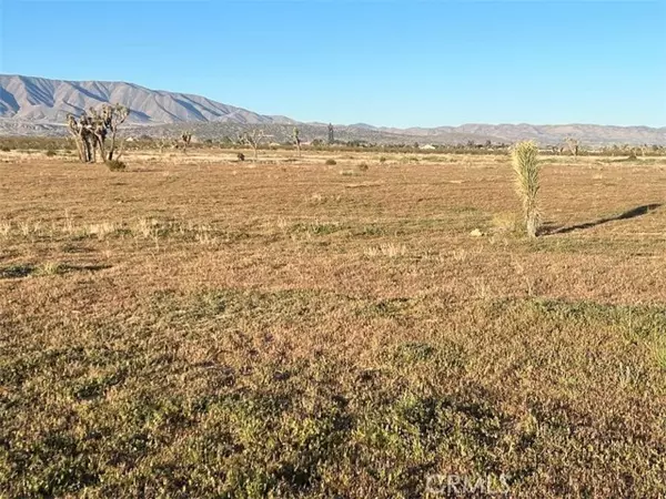 Llano, CA 93544,0 Vac/Cor Avenue W4 Drt /175