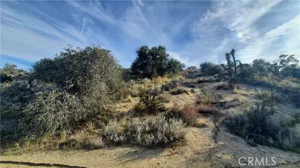 Juniper Hills, CA 93543,0 Vicinity Ross Road