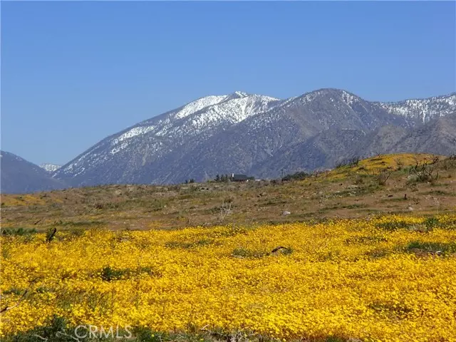 Juniper Hills, CA 93543,0 Pinon Pine Lane