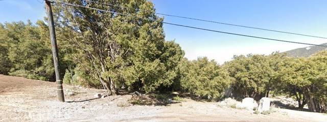 2029 Linden, Pine Mountain Club, CA 93225