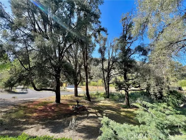 Pine Mountain Club, CA 93222,2601 Basel Court