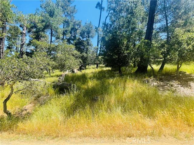 0 Burton, Cambria, CA 93428