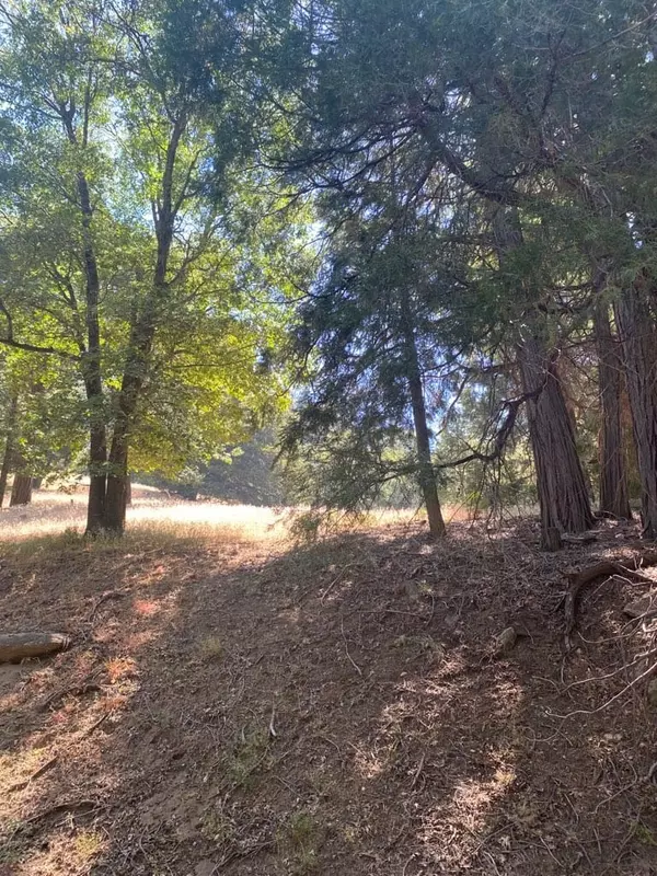 0 Mojave River Rd, Cedarpines Park, CA 92322