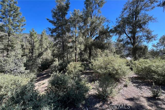 2426 Cedarwood, Pine Mountain Club, CA 93222