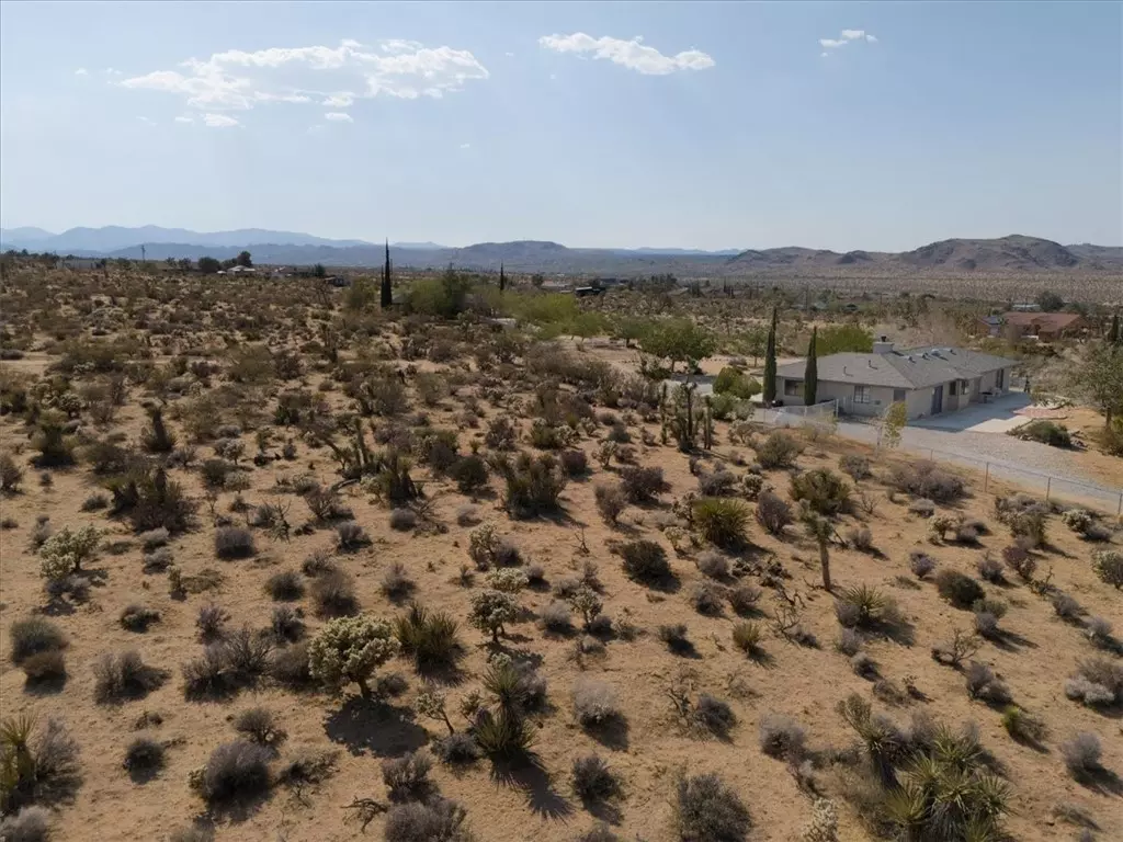 Joshua Tree, CA 92252,0 Saddleback