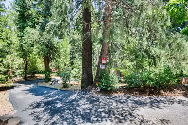 Lake Arrowhead, CA 92352,658 W Victoria Court