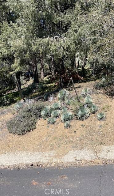 2165 Tyndall, Pine Mountain Club, CA 93222