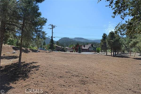 Pine Mountain Club, CA 93222,2029 St Bernard