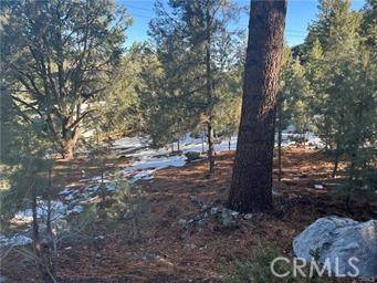 1604 Linden, Pine Mountain Club, CA 93222