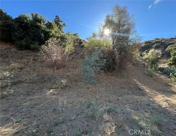 9040 La Tuna Canyon, Sun Valley, CA 91352