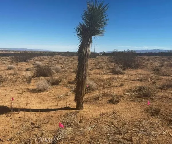 Landers, CA 92285,425 Gerber