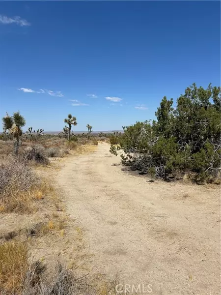 0 Avenue X, Llano, CA 93544