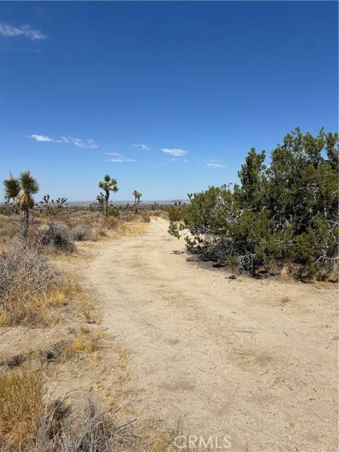 0 Avenue X, Llano, CA 93544