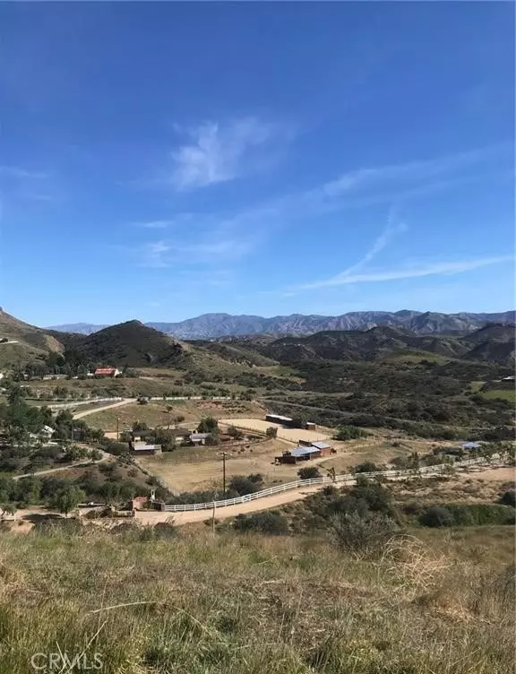 Agua Dulce, CA 91350,0 Vac/Vic Willow Ln/ Woolsox