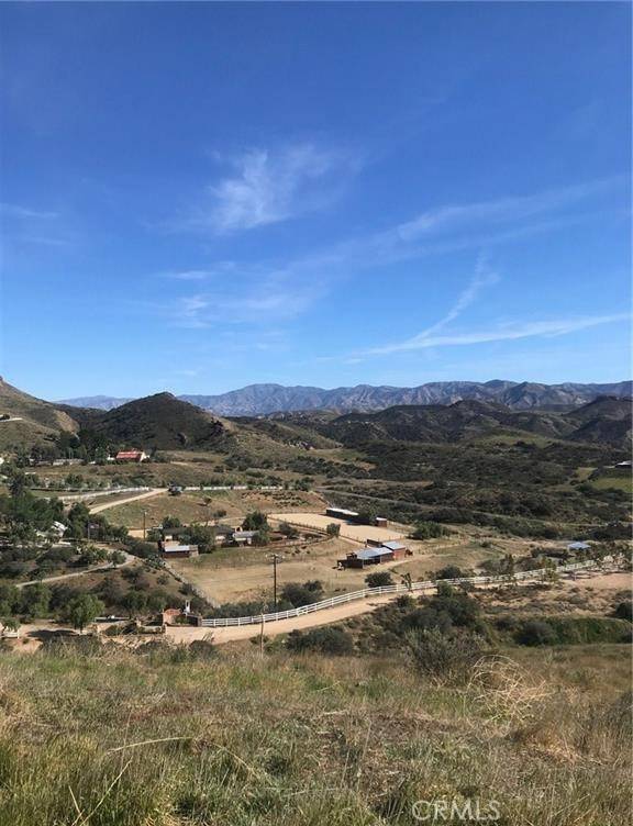 Agua Dulce, CA 91350,0 Vac/Vic Willow Ln/ Woolsox