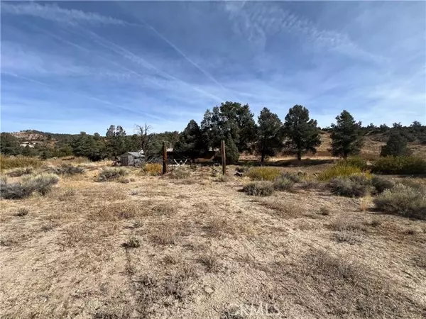 Frazier Park, CA 93225,32470 Juniper