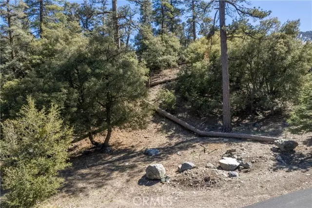 1300 Banff, Pine Mountain Club, CA 93222