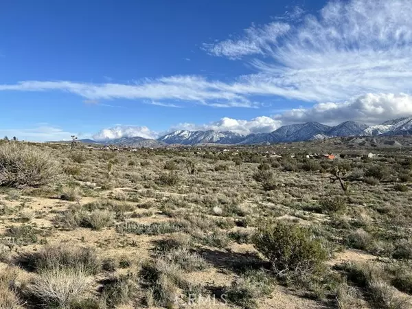 Pearblossom, CA 93553,0 Vac/Fort Tejon Pav /Vic Avenue