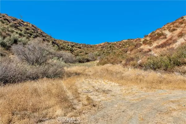 Canyon Country, CA 91387,1 Warmuth