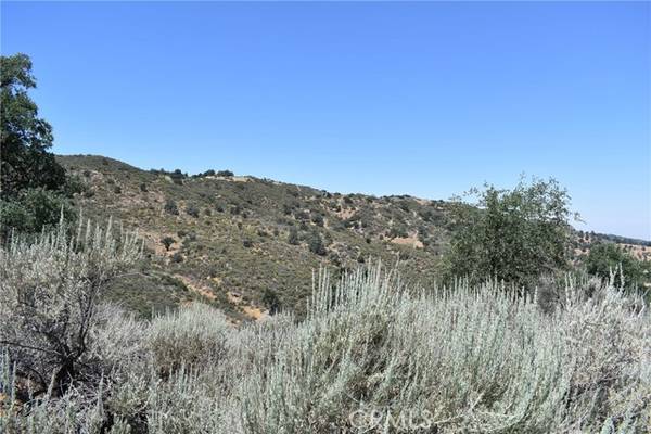 Bear Valley Springs, CA 93561,22301 Saddleback