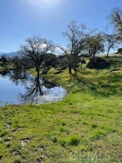 0 Pothole, Porterville, CA 93257