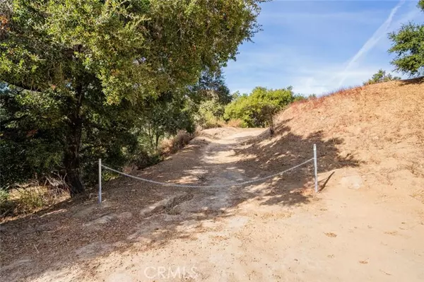 Bell Canyon, CA 91307,137 Buckskin