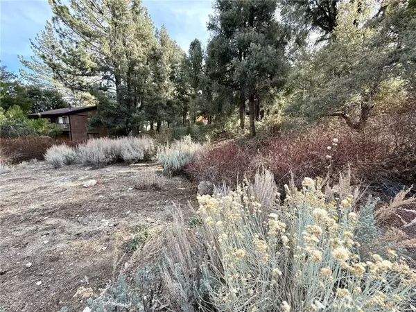 Pine Mountain Club, CA 93222,15500 Mil Potrero Hwy