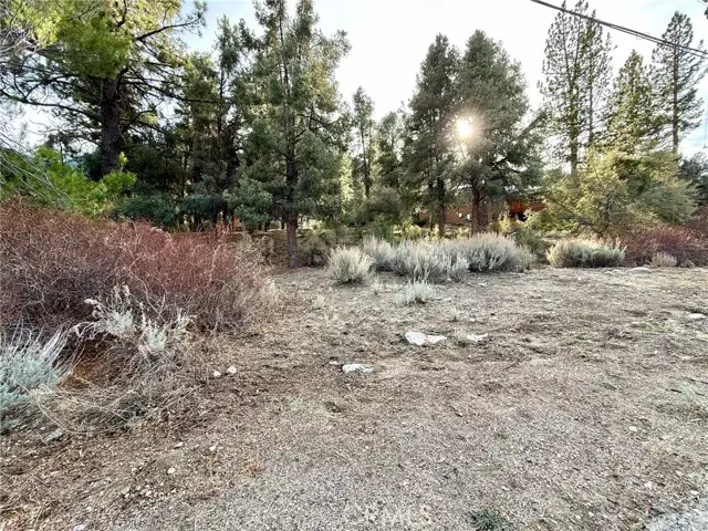 Pine Mountain Club, CA 93222,15500 Mil Potrero Hwy