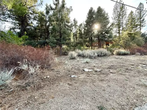 15500 Mil Potrero Hwy, Pine Mountain Club, CA 93222