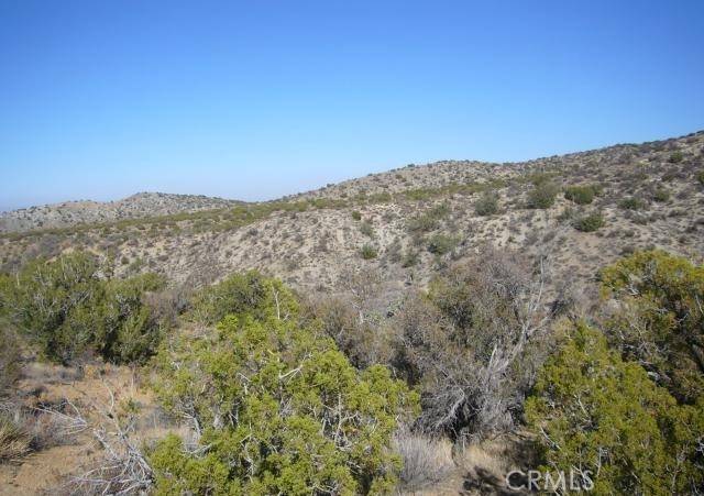 Juniper Hills, CA 93543,1 E Avenue Z2/118 Ste