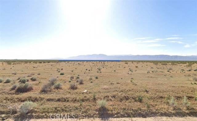 California City, CA 93505,0 YERBA