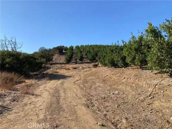 Temecula, CA 92590,4 Terreno