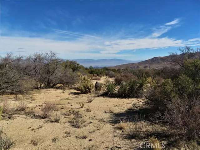 8 Carrizo, Mountain Center, CA 92561