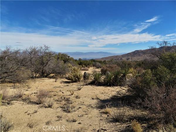 8 Carrizo, Mountain Center, CA 92561