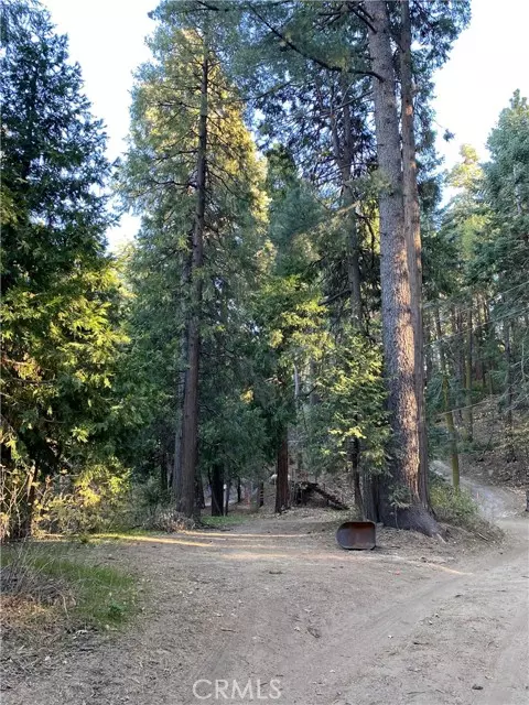 Cedarpines Park, CA 92322,0 Ballenger