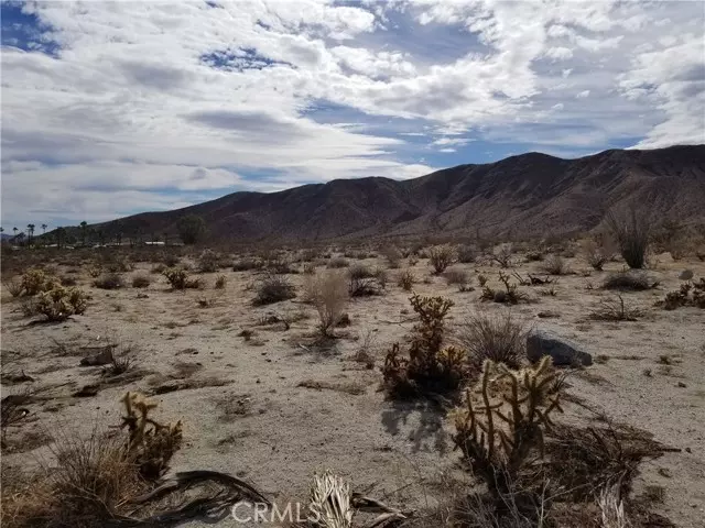 Borrego Springs, CA 92004,0 Palm Canyon