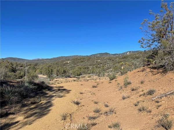 20 Comanche Trail, Anza, CA 92539