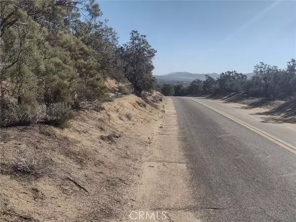 Anza, CA 92539,59600 Burnt Valley