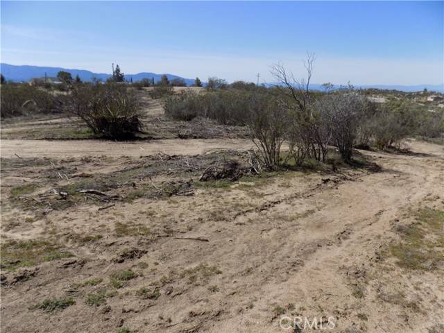 Aguanga, CA 92536,0 Thouroughbred Ct