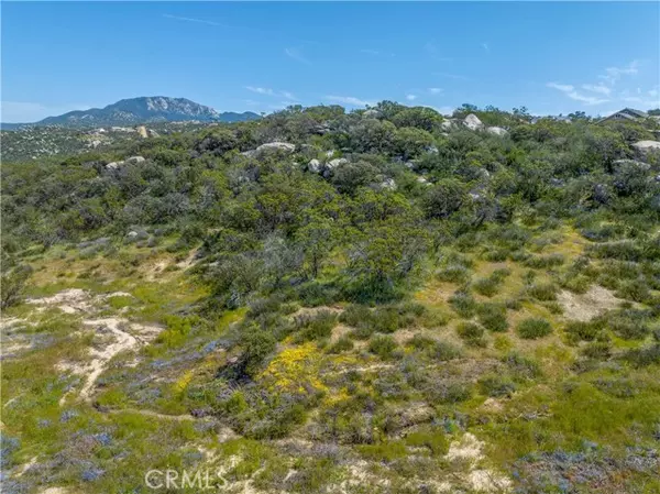 Aguanga, CA 92536,778 Lot on Crazy Horse Canyon