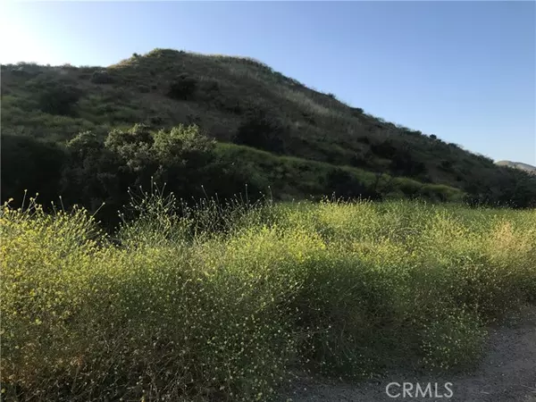 Canyon Country, CA 91351,0 Vasquez Canyon