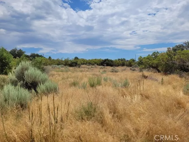 Anza, CA 92539,1 Wagonwheel