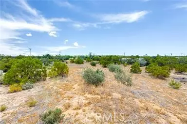 Anza, CA 92539,58489 Mcarthur Road